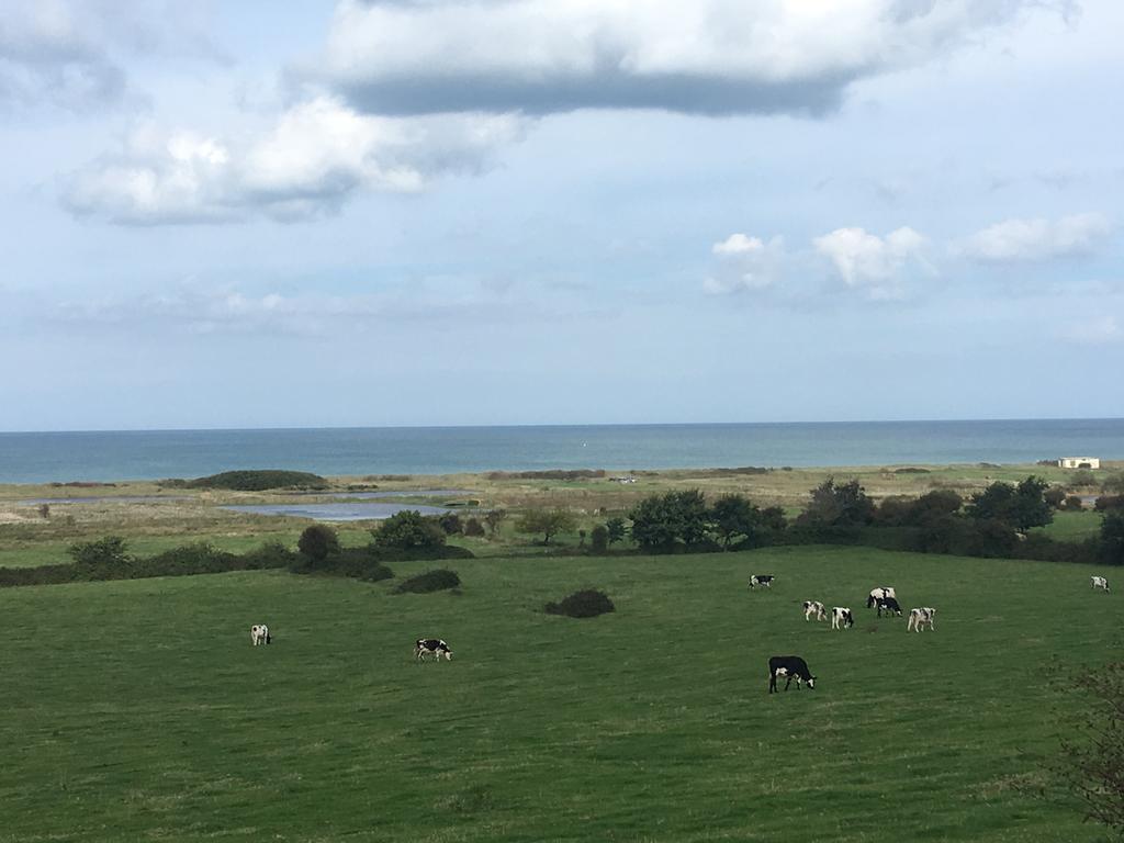 مبيت وإفطار Ver-sur-Mer Le Mas Normand المظهر الخارجي الصورة